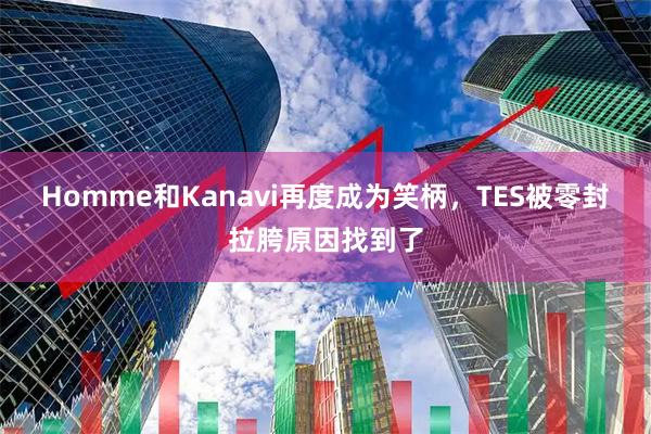 Homme和Kanavi再度成为笑柄，TES被零封拉胯原因找到了